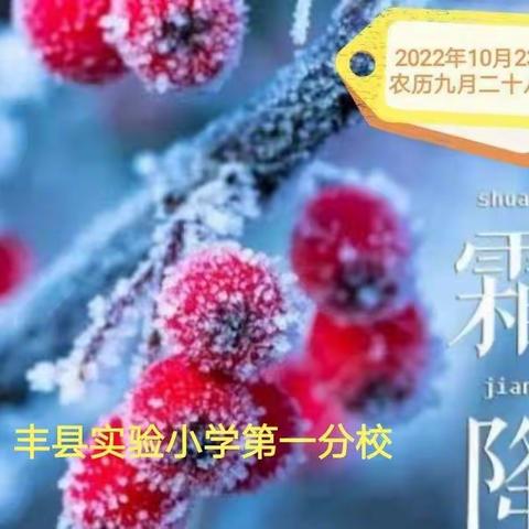 一朝秋暮露成霜，几份凝结几份阳。——丰县实验小学第一分校二十四节气微课程