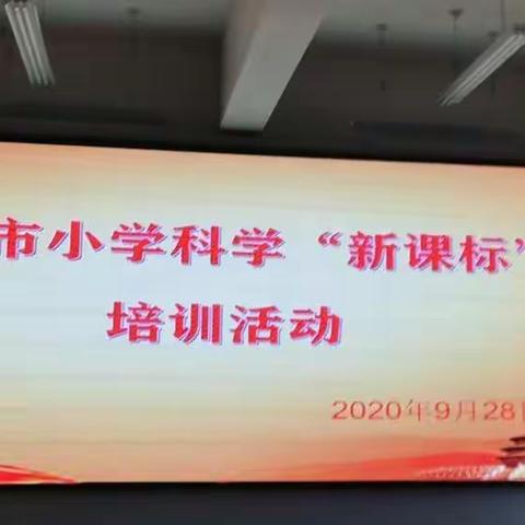 演武中心校科学培训总结