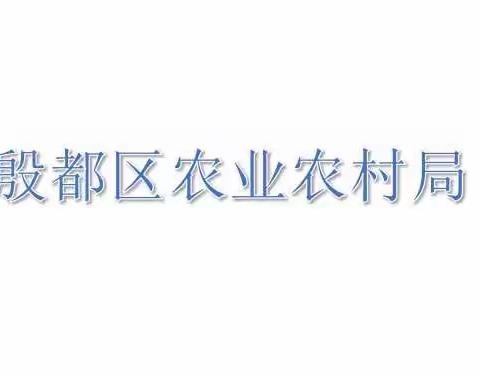 殷都区农业农村局：《芹菜质量安全管控技术性指导意见》