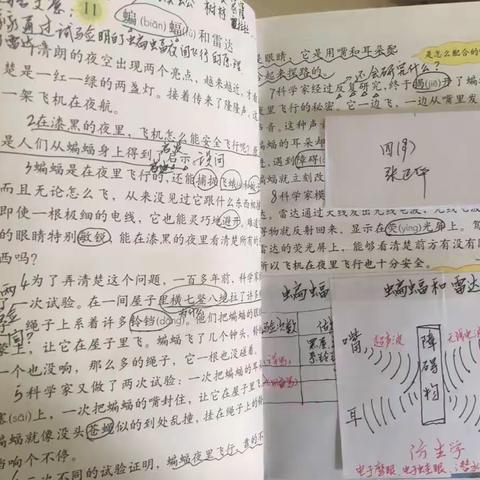 滨二稼轩校区四月语文教学常规小结