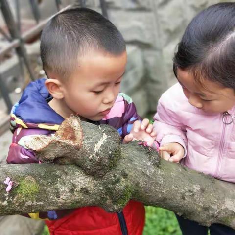 我和春天有个约会✌️✌️🎉🎉