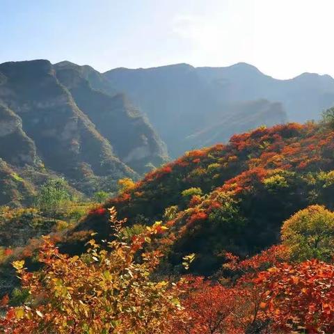 千禾乐龄学苑坡峰岭游学