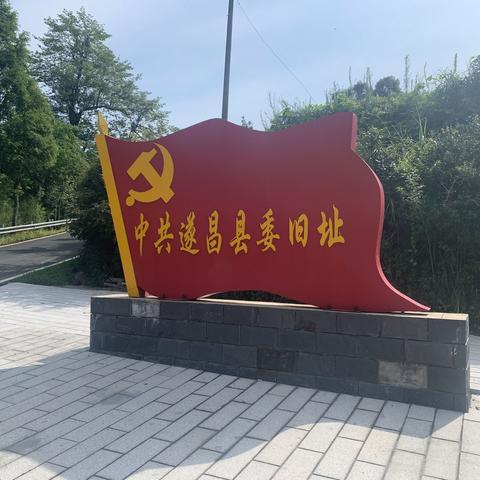 踏红色之地，记使命之行---遂昌中学公园路校区党支部7月主题党日活动