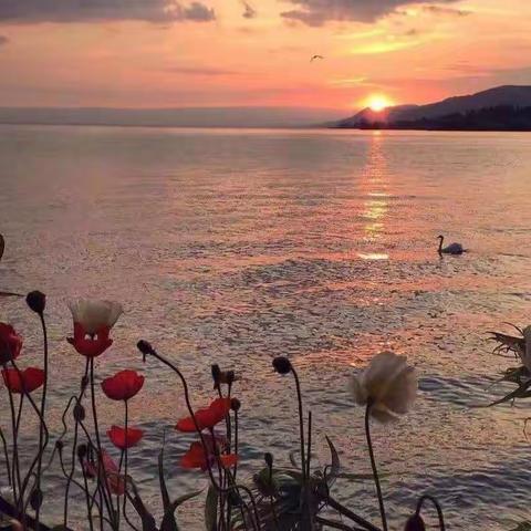 沁园中学2021级8班七月份作业总结