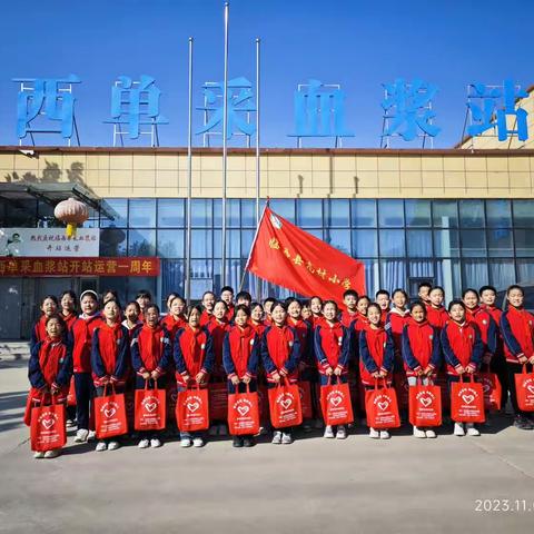 探寻血液奥秘，感受生命温暖——临西县高村小学