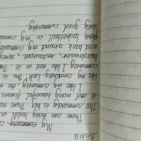 王家姑娘的美篇