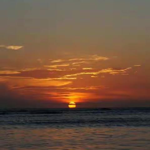 【附中学子这样过国庆——忻州师院附中初337班杨芝鑫2022年国庆假期实践活动小记