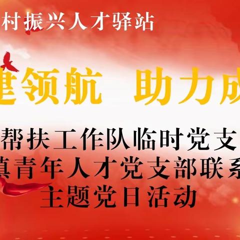 党建领航 助力成长丨上华镇乡村振兴人才驿站开展党支部共建活动