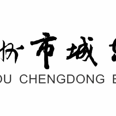 理性地做教育，做富于理性的教育——徐州市城东实验小学名师大讲堂活动（19期）