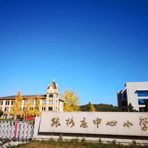 只争朝夕，不负韶华 ——张格庄小学2019-2020第一学期教学工作简报