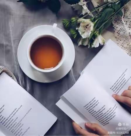 人勤春来早，春耕备耕忙———黄河路小学教师晒书房活动