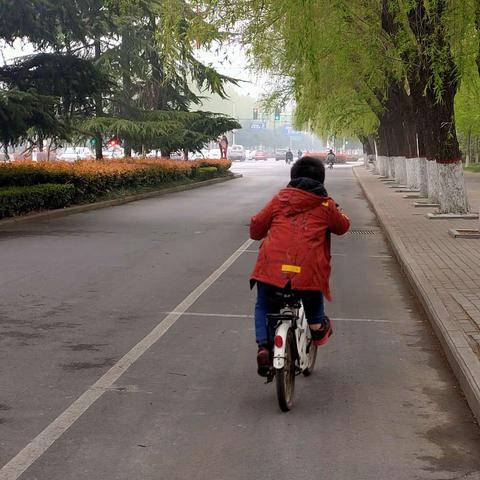 立志达智，信言行果——黄河路小学二（2）班王昱哲的假期生活