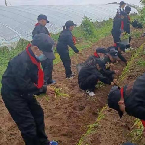 新右旗中小学生素质教育实践基地开展劳动教育系列活动