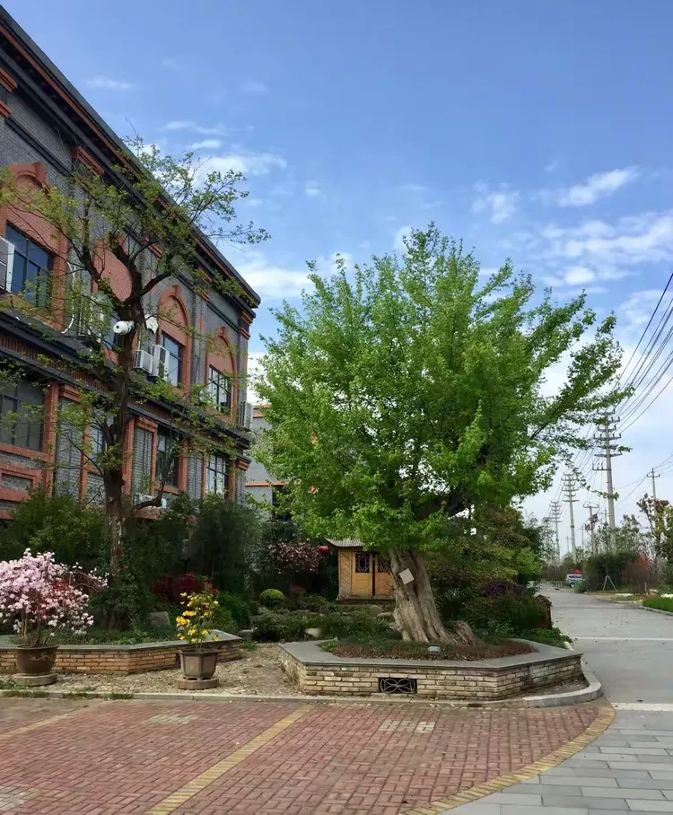 探秘泾县的文房四宝小镇