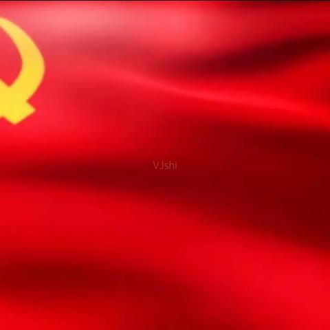 党旗飘飘进社区，疫情防控践使命