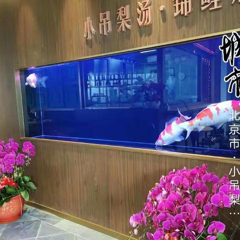 2022年平安汇店早开市检查完毕曹颖13810176371