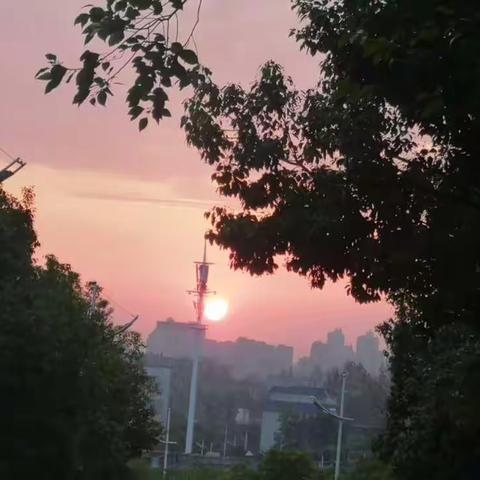 感悟青春 记录美好（小教2104王高阳）