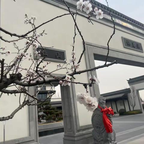 潍坊中颐龙湖康养小镇销售体验中心