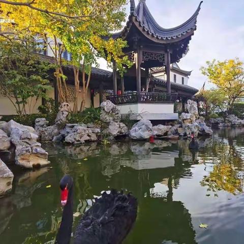 中颐龙湖康养小镇十一月月报