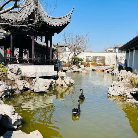 潍坊中颐龙湖康养小镇销售体验中心