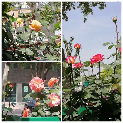 谷雨声声润心田，童声童颜暖心间