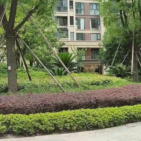 物业绿植养护