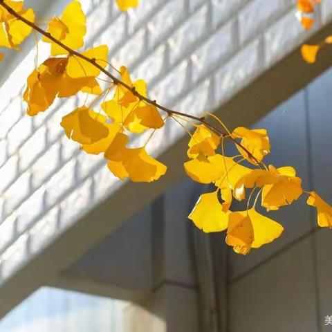 2023.9.24云同桌～从中笑