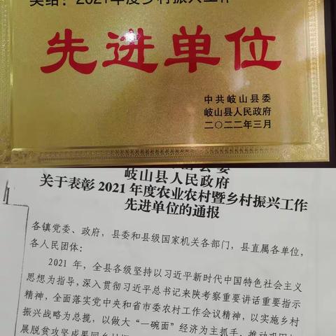 2022年雍川镇乡村振兴亮点回眸