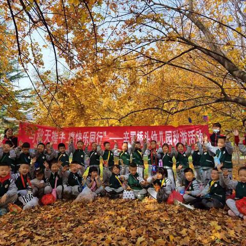 “与秋天握手，携快乐同行”辛置桥头幼儿园秋游活动🚌
