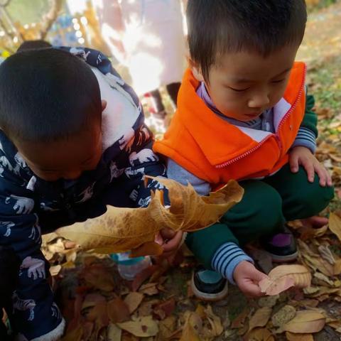 幼儿园乐趣多