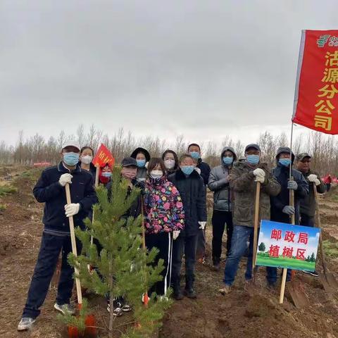 沽源县邮政分公司义务植树