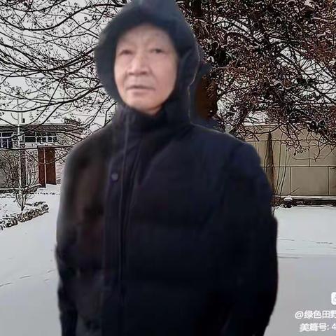 春雪