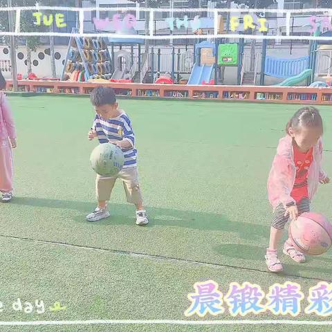 每天一小步，成长一大步，高新区机关幼儿园中一班周记