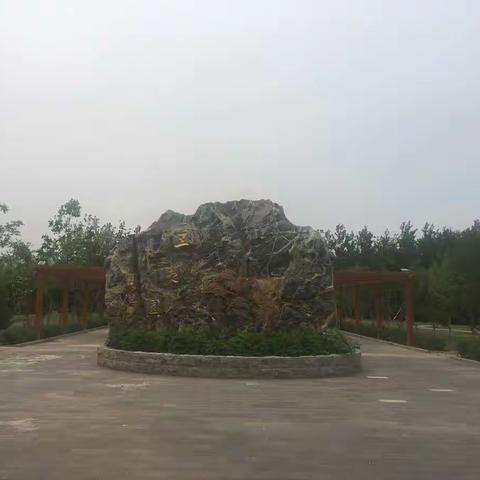 张新华的美篇