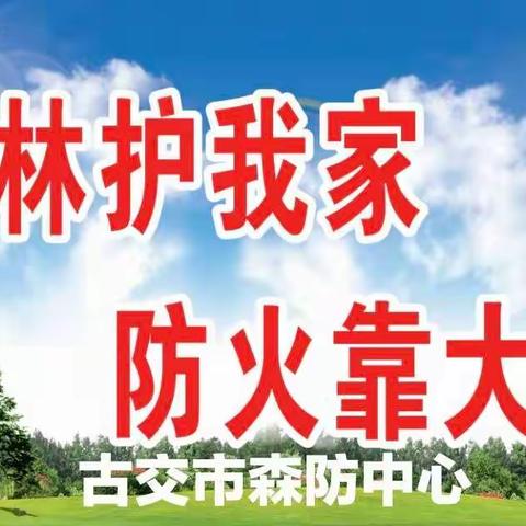 进入林区勿用火 绿水青山带笑颜