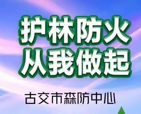 勿念葱林繁似海 一星燃尽只尘埃