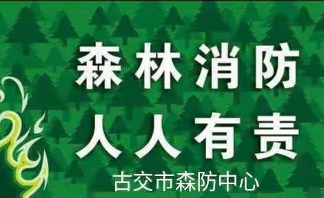 草木有意烈火无情 林草防火人人有责