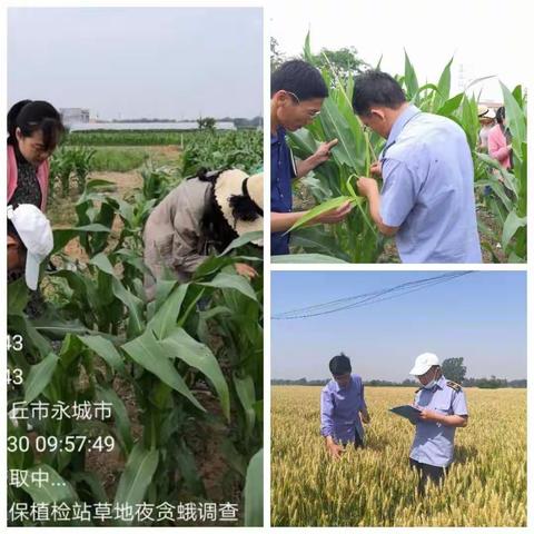 永城市植保站执法图片展示