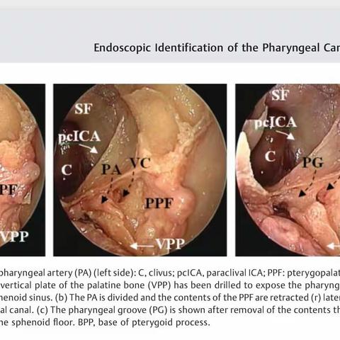 雁过留声——清单-2022