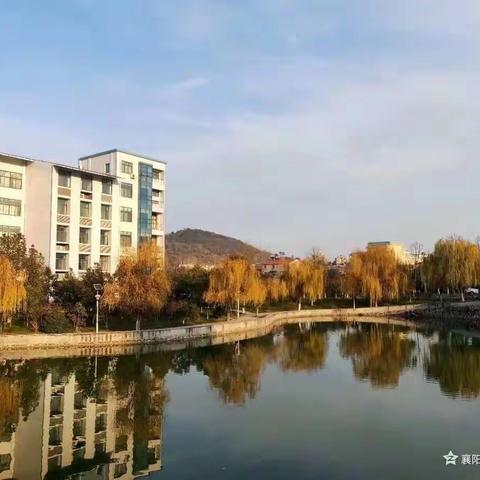 回首2022，我来总结