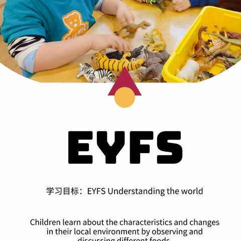 4⃣️ EYFS Understanding the world 🐾