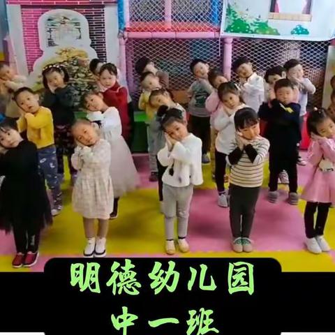 明德幼儿园中一班“停课不停学”主题活动