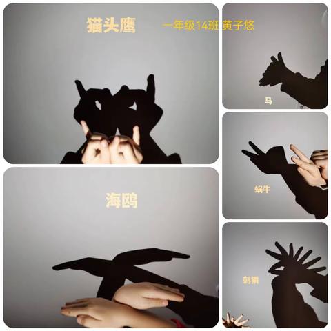 【手影魔法】猜猜他们都变出了什么