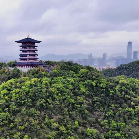 健康永远，茅台永恒