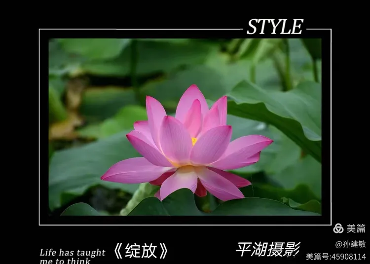 庆八一  抗日战争胜利80周年书画摄影作品展(图142)