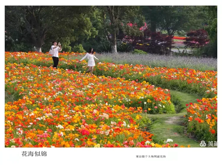 庆八一  抗日战争胜利80周年书画摄影作品展(图106)