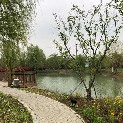 望亭农业园周边景观绿化