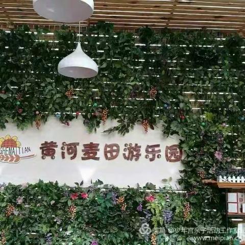 🌹思睿托管班暑假综合拓展训练一日游开始招生了🌹