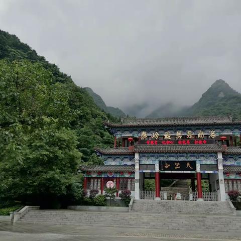 秦岭最美是商洛﻿无限风光在天竺！