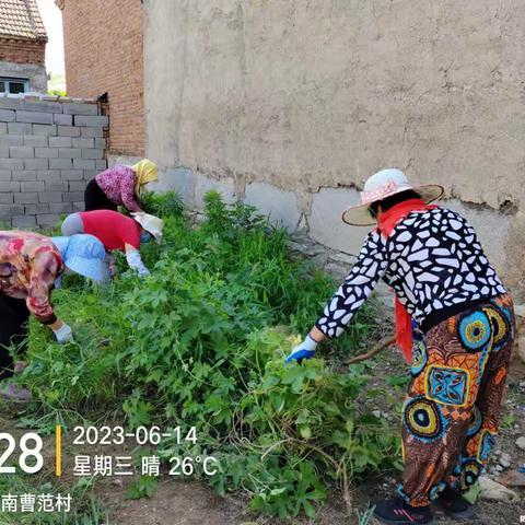 南曹范党建工作区周工作总结